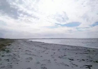 Højby Strand 2016 til HS