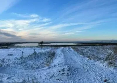 Snedækkede Korevler